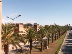 Taroudant - Palmenallee an der Stadtmauer Taroudant - Palmenallee an der Stadtmauer